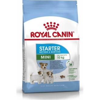 Royal Canin Starter Mother & Babydog Mini 1kg Dry Food for Small Breed Puppies with Maize / Poultry / Rice Royal Canin Starter Mother & Babydog Mini 1kg Dry Food for Small Breed Puppies with Maize / Poultry / Rice
